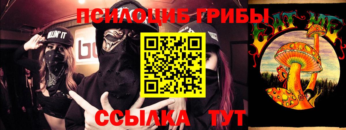Асино  Псилоцибиновые грибы мицелий  Псилоцибиновые грибы прущие грибы  Вход с VPN 