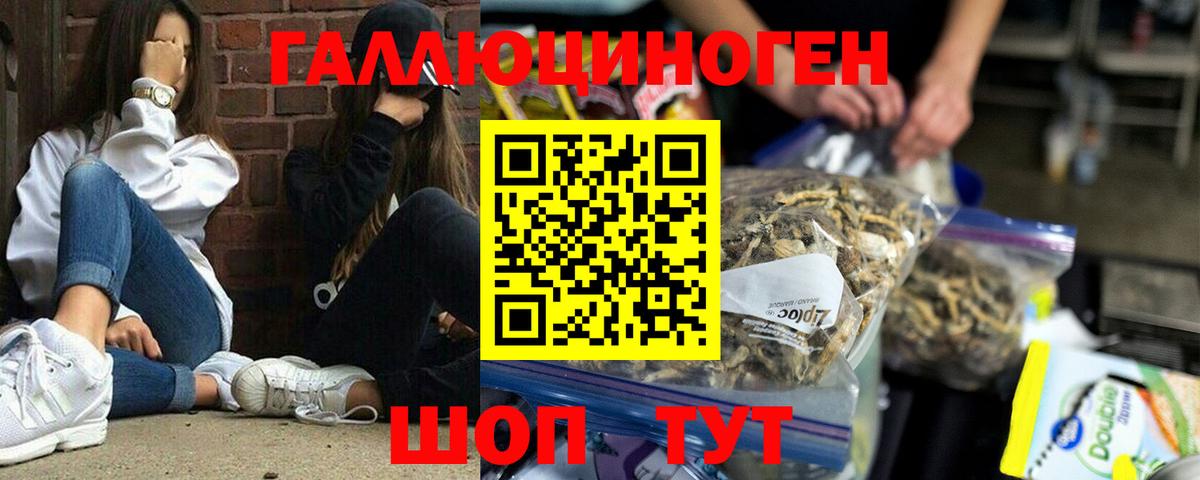 A-PVP Асино